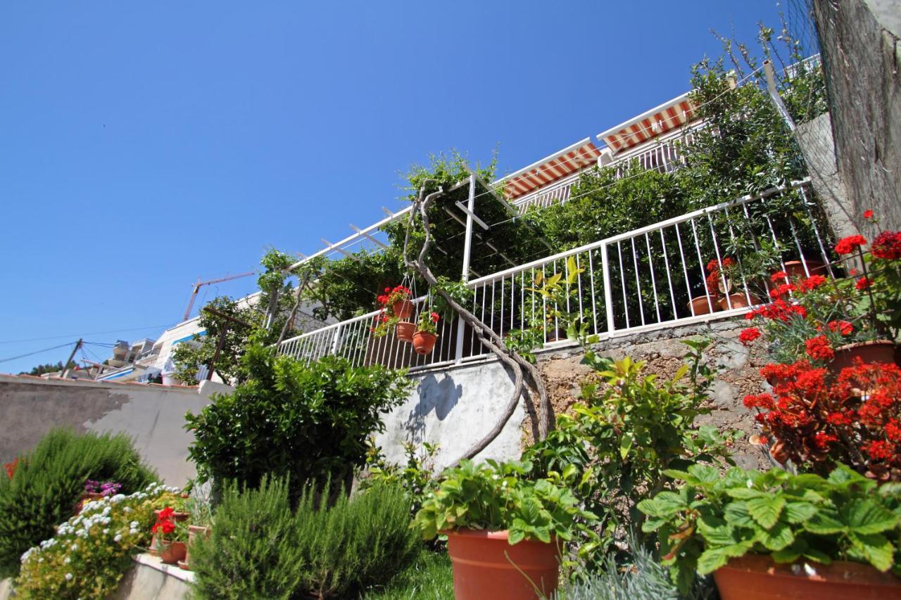 Apartment Ante
